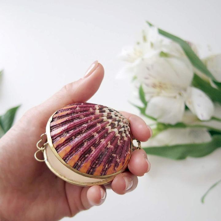 Natural Solid Perfume Cedarwood Myrrh & Clove Fragrance Botanical Grapefruit Handmade Seashell Solid Perfume for Baby