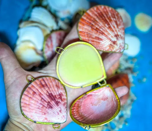 Natural Solid Perfume Cedarwood Myrrh & Clove Fragrance Botanical Grapefruit Handmade Seashell Solid Perfume for Baby